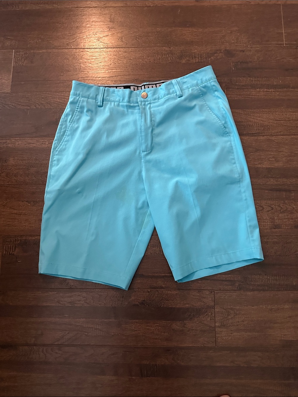 Puma Men's Light Aqua Blue Flat Front Shorts